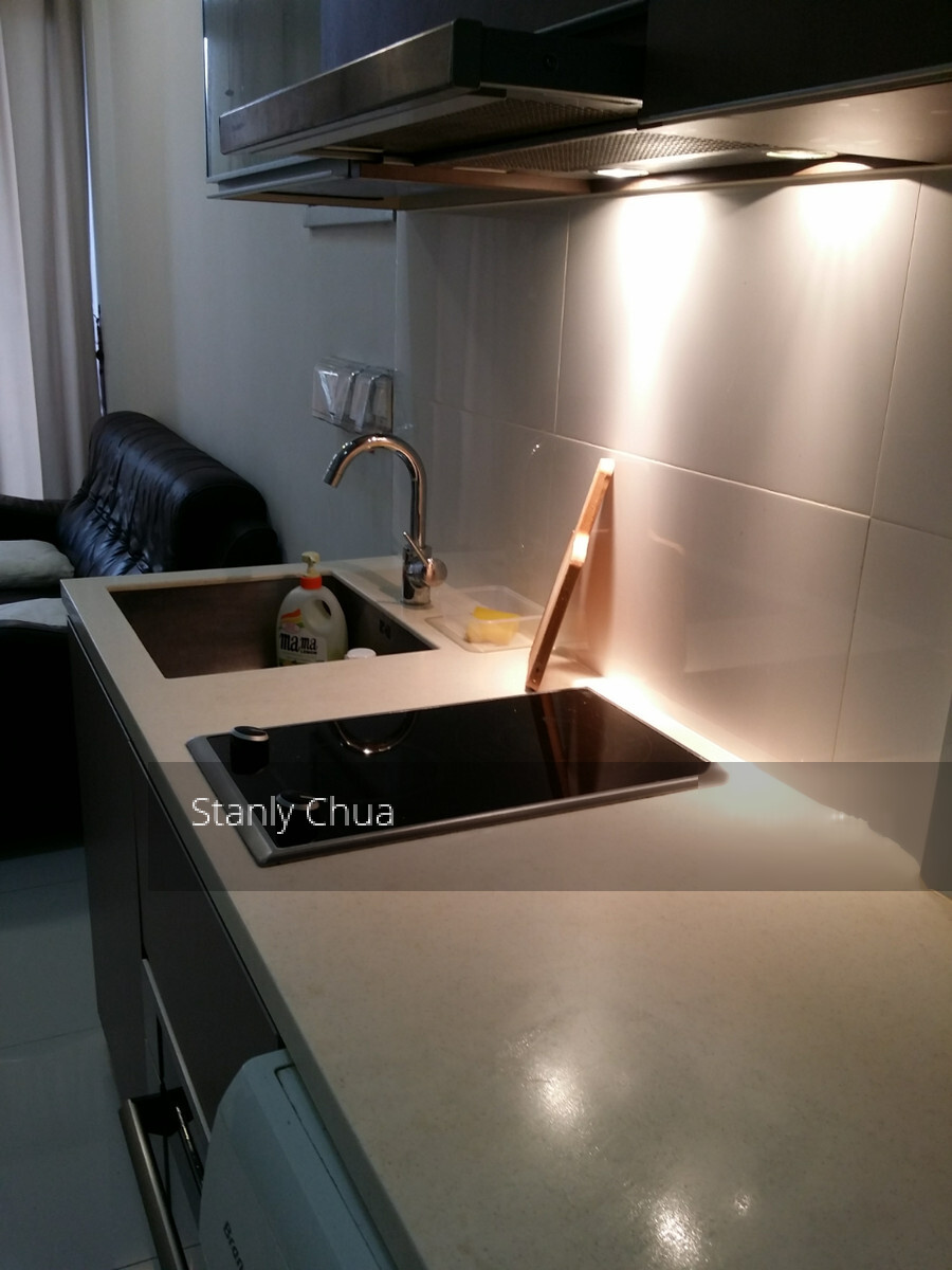 Mount Sophia Suites (D9), Apartment #238687841